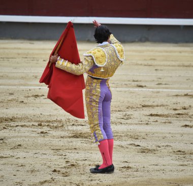 bullring İspanyol boğa