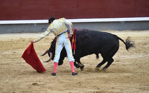 Bullfighting Stock Photos, Royalty Free Bullfighting Images | Depositphotos