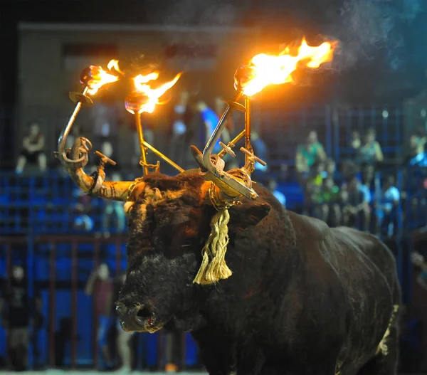 Tjurfäktning Spanien Med Bull — Stockfoto