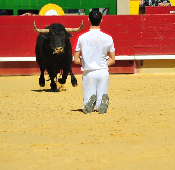 Corrida Espagne Avec Gros Taureau — Photo