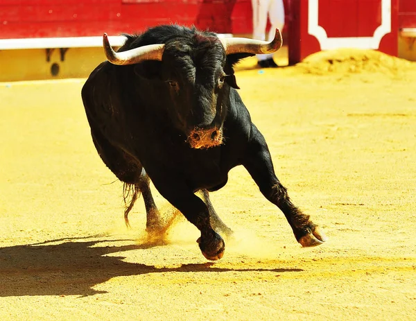 Tjurfäktning Spanien Med Stor Tjur — Stockfoto