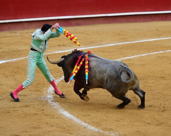 Tjurfäktning Spanien Med Bull — Stockfoto