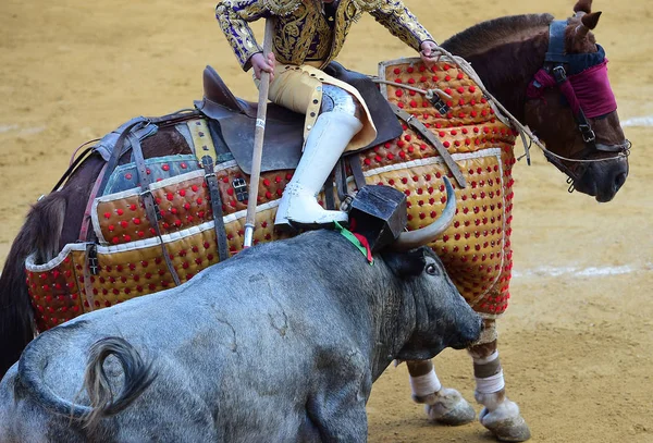 Tourada Espanha Com Touro — Fotografia de Stock