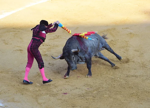 Corrida Espagne Avec Taureau — Photo