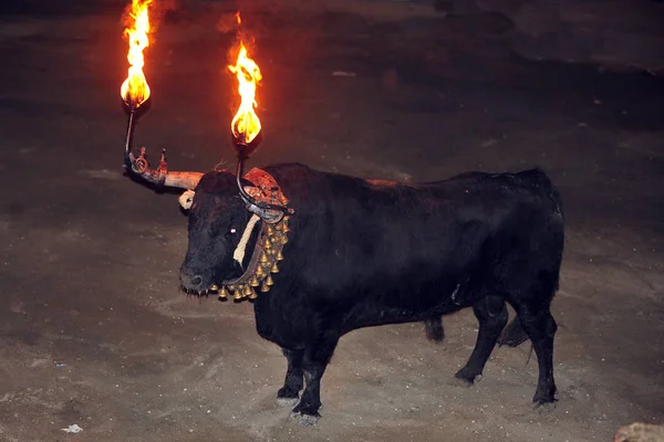 Angry Bull Spain — Stock Photo, Image