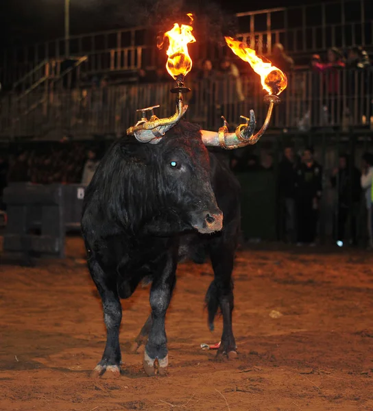 Spaanse Stier Arena — Stockfoto