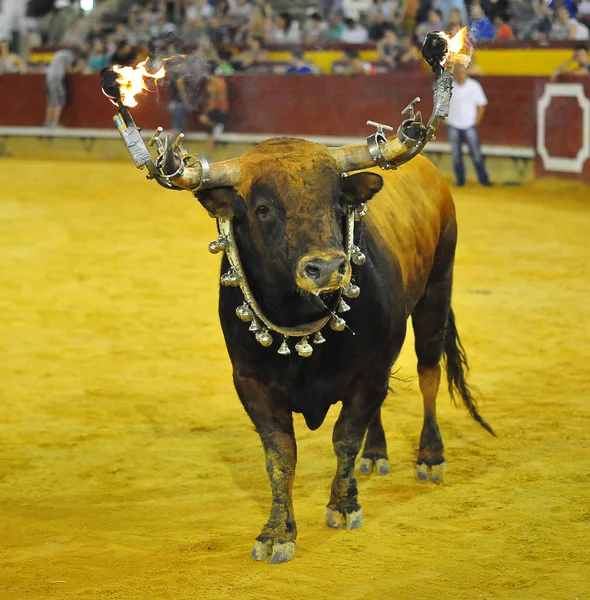 Булка Традиційна Іспанії — стокове фото