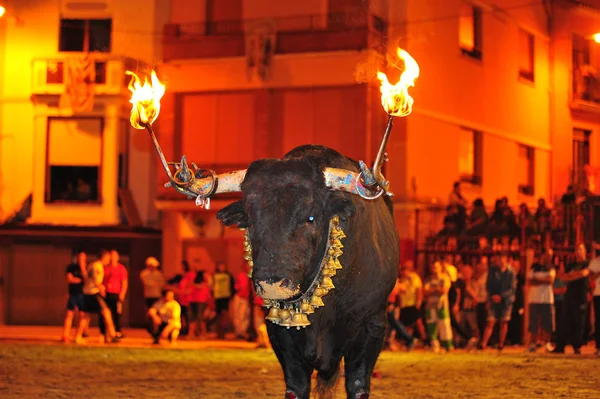 Taureau Espagne Avec Grandes Cornes — Photo