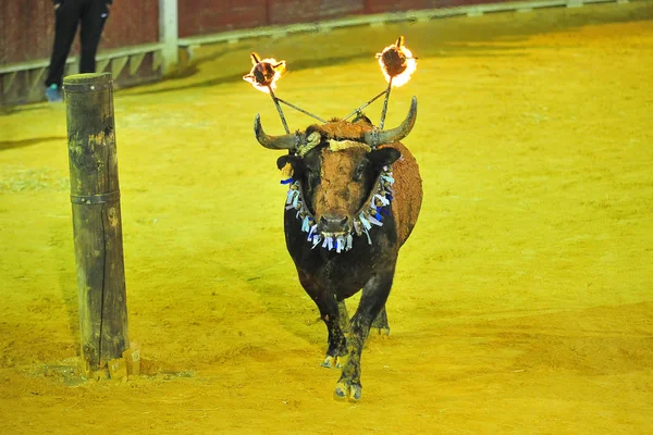 Španělský Býk Aréně — Stock fotografie