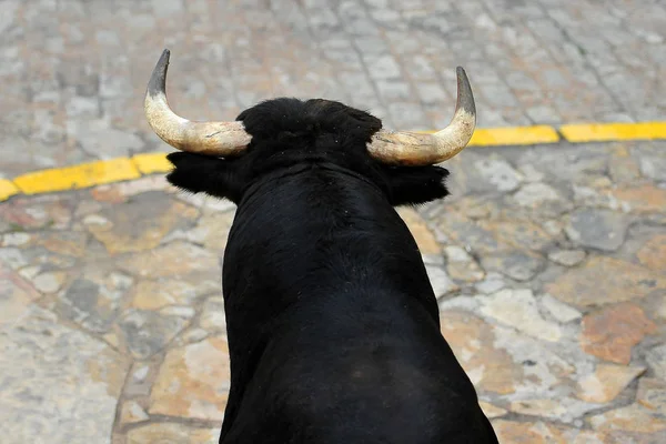 Zwarte Stier Spanje — Stockfoto