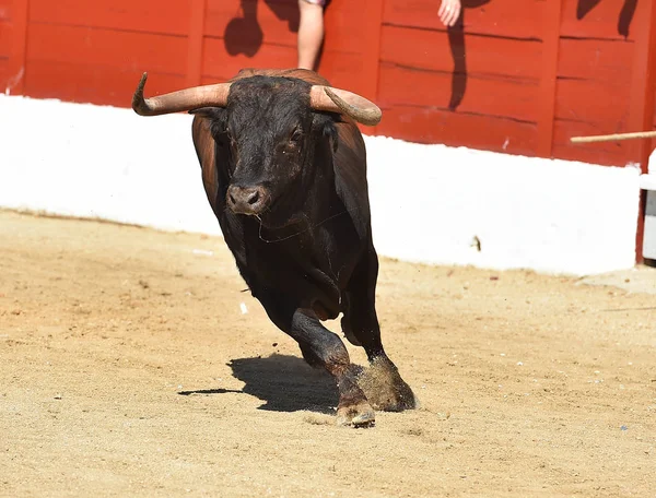 Touro Espanhol Tournée — Fotografia de Stock