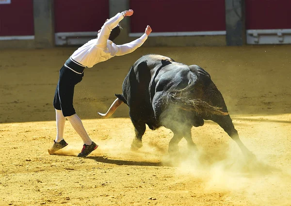 スペインで実行している雄牛 — ストック写真