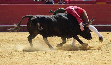 İspanyol boğa Arena içinde çalışan