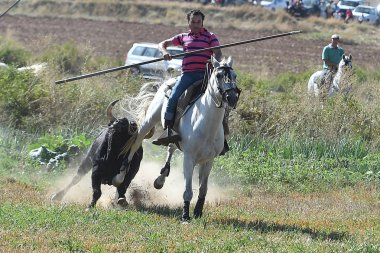 bullring İspanyol boğa