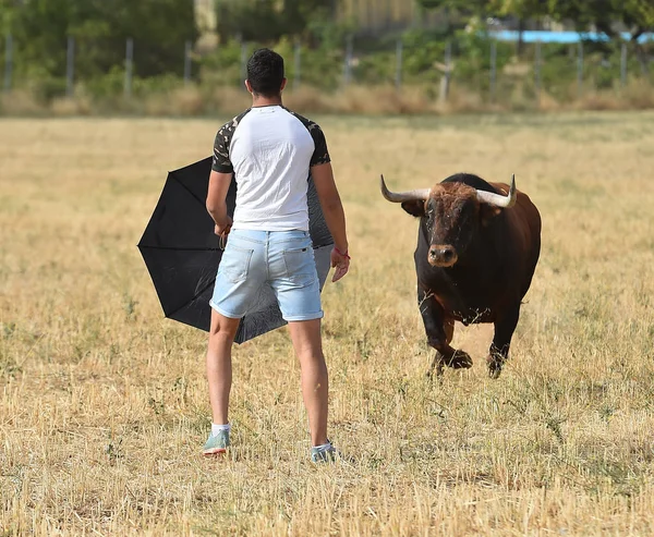 Big Bull Spain — Stock Photo, Image