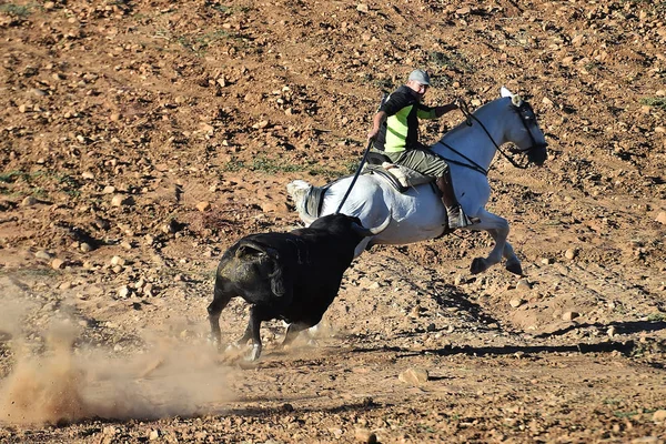 Touro Espanhol Tournée — Fotografia de Stock