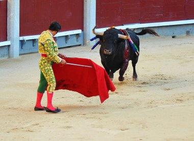 İspanya ' gözlük boğa