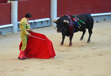 İspanya ' gözlük boğa