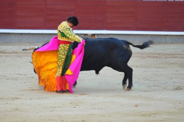 İspanya ' gözlük boğa