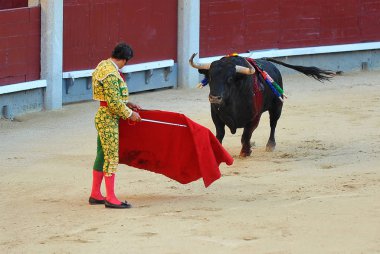 İspanya ' gözlük boğa