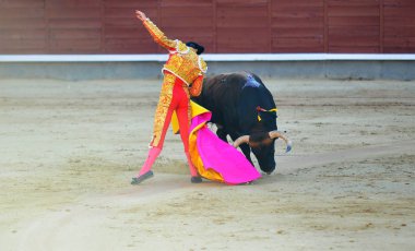İspanya ' gözlük boğa