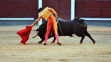 İspanya ' gözlük boğa