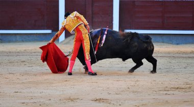 kırsal kesimde İspanya boğa