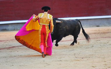 kırsal kesimde İspanya boğa