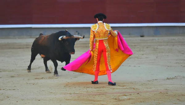 Toro Spagna Spettacolo — Foto Stock