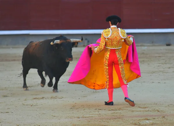 Toro Spagna Spettacolo — Foto Stock