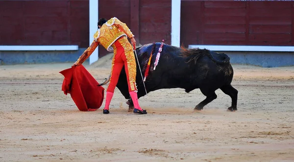 kırsal kesimde İspanya boğa