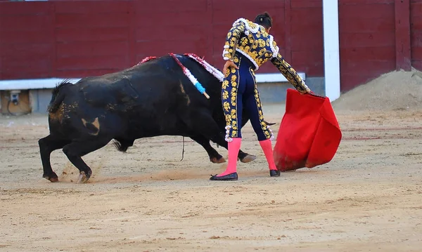 Toro España Campo —  Fotos de Stock