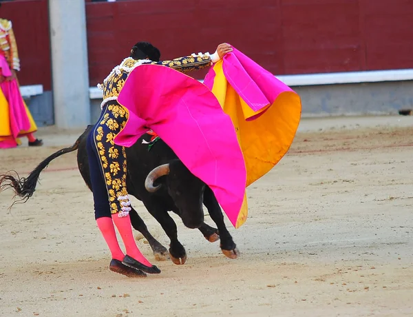 Ταύρο Στην Ισπανία Στην Εξοχή — Φωτογραφία Αρχείου