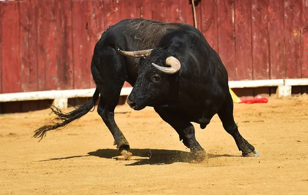 Corrida Spagna Bullring — Foto Stock