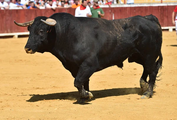 斗牛在西班牙斗牛场 — 图库照片