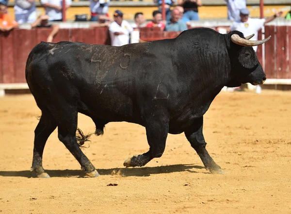 スペインの闘牛場での闘牛 — ストック写真