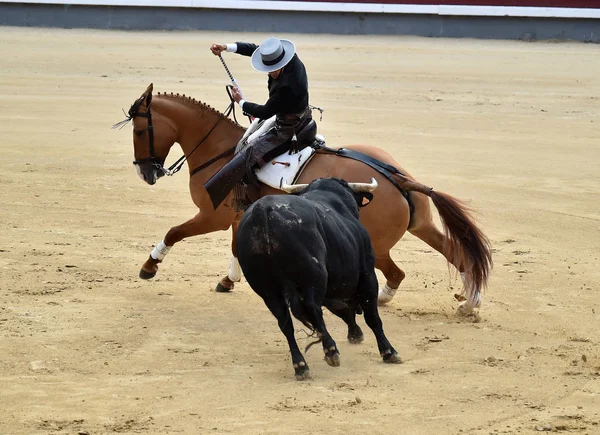 Stierkampf Spanien Stierkampfarena — Stockfoto