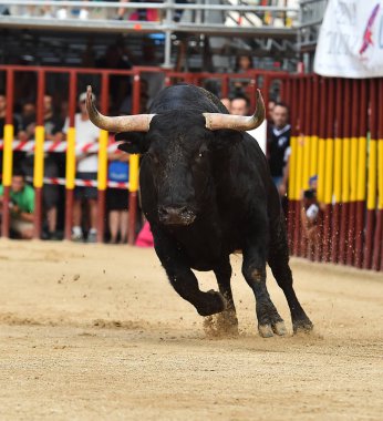 İspanyol bullring çalıştıran İspanya boğa