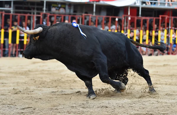 スペインの闘牛場で実行している雄牛 — ストック写真