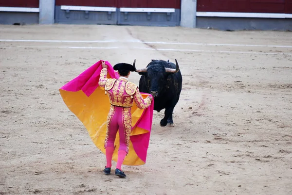 Corridas Toros España Con Gran Toro — Foto de Stock