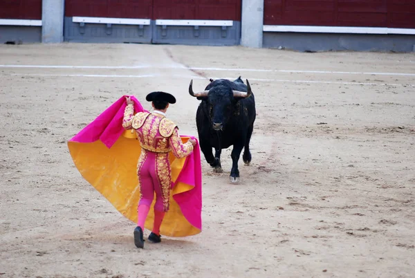 Tourada Espanha Com Grande Touro — Fotografia de Stock