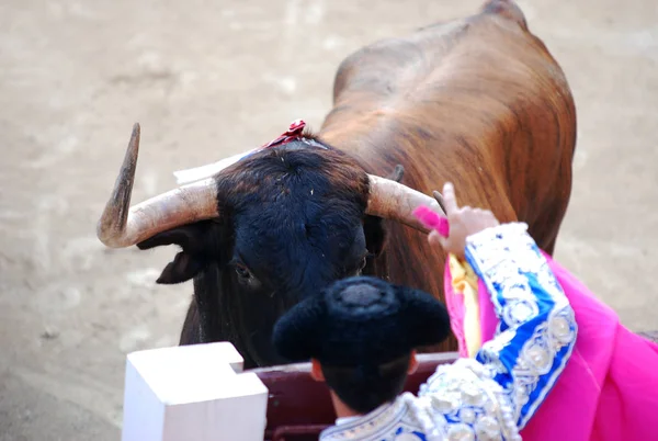 Corridas Toros España Con Gran Toro — Foto de Stock