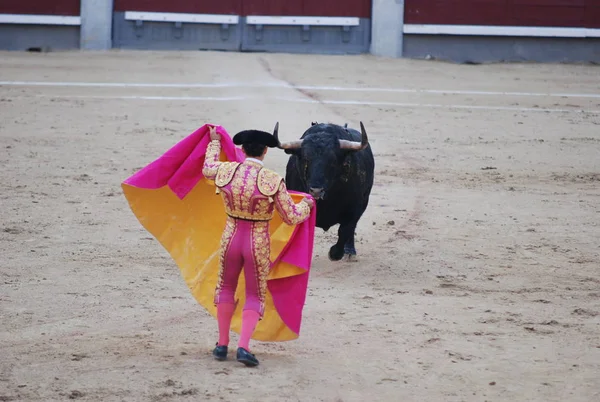 Tourada Espanha Com Grande Touro — Fotografia de Stock