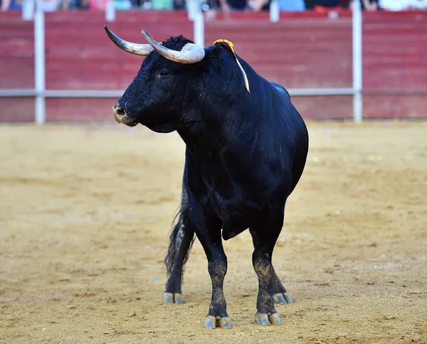 Forte Toro Spagna — Foto Stock