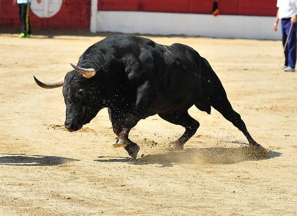 Bull Boj Španělsku Aréně — Stock fotografie