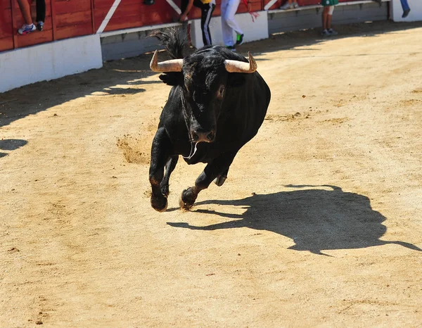 Corrida Espagne Dans Les Arènes — Photo