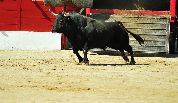 Bull Boj Španělsku Aréně — Stock fotografie