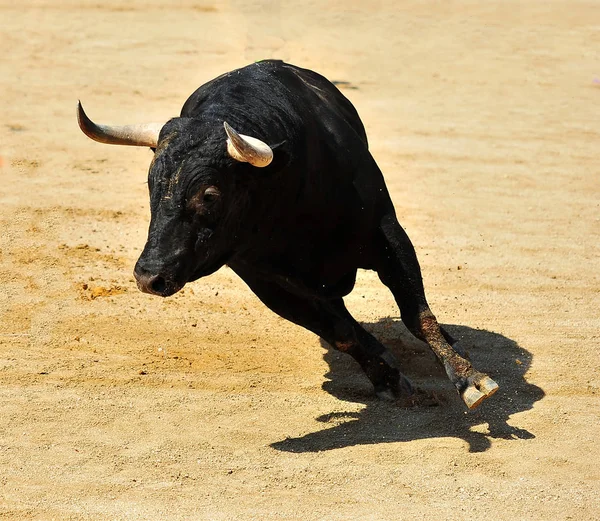 スペインの闘牛場での闘牛 — ストック写真