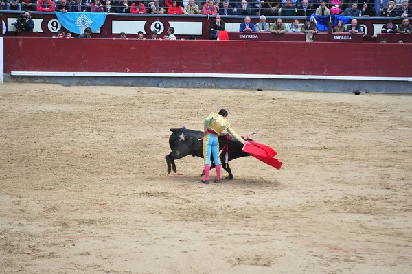 Ταύρο Στην Ισπανία Που Εκτελούνται Αρένα Ταυρομαχιών — Φωτογραφία Αρχείου