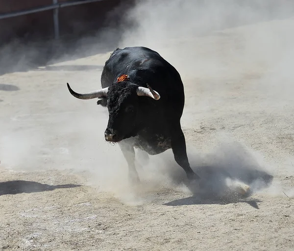 Stier Spanje Met Grote Horens Uitgevoerd Arena — Stockfoto